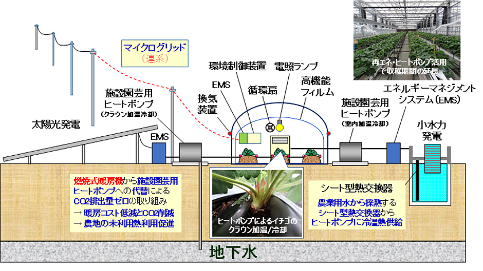 農林水産省　委託プロジェクト研究